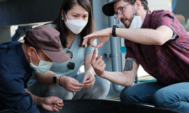 Course participants examining green coffee beans with Bryce during a processing course